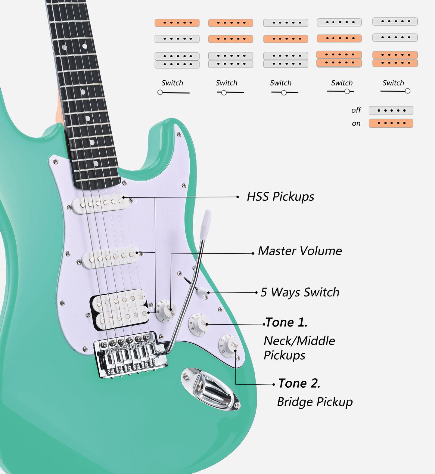 (Supports OEM/ODM) Seigen Classic ST Electric Guitar, Roasted Canadian Maple HSS Pickups Green